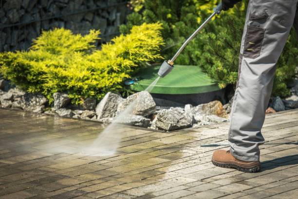 Best Roof Washing  in Meridian, TX