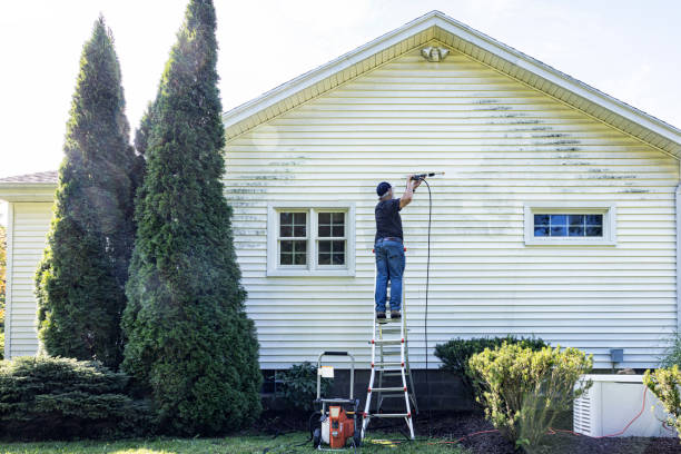 Best Graffiti Removal  in Meridian, TX
